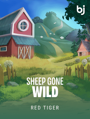 শীপ গন ওয়াইল্ড game cover